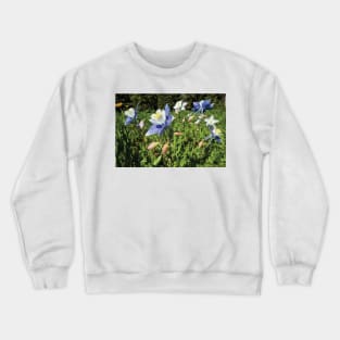 Close Up Of Wildflowers Crested Butte Crewneck Sweatshirt